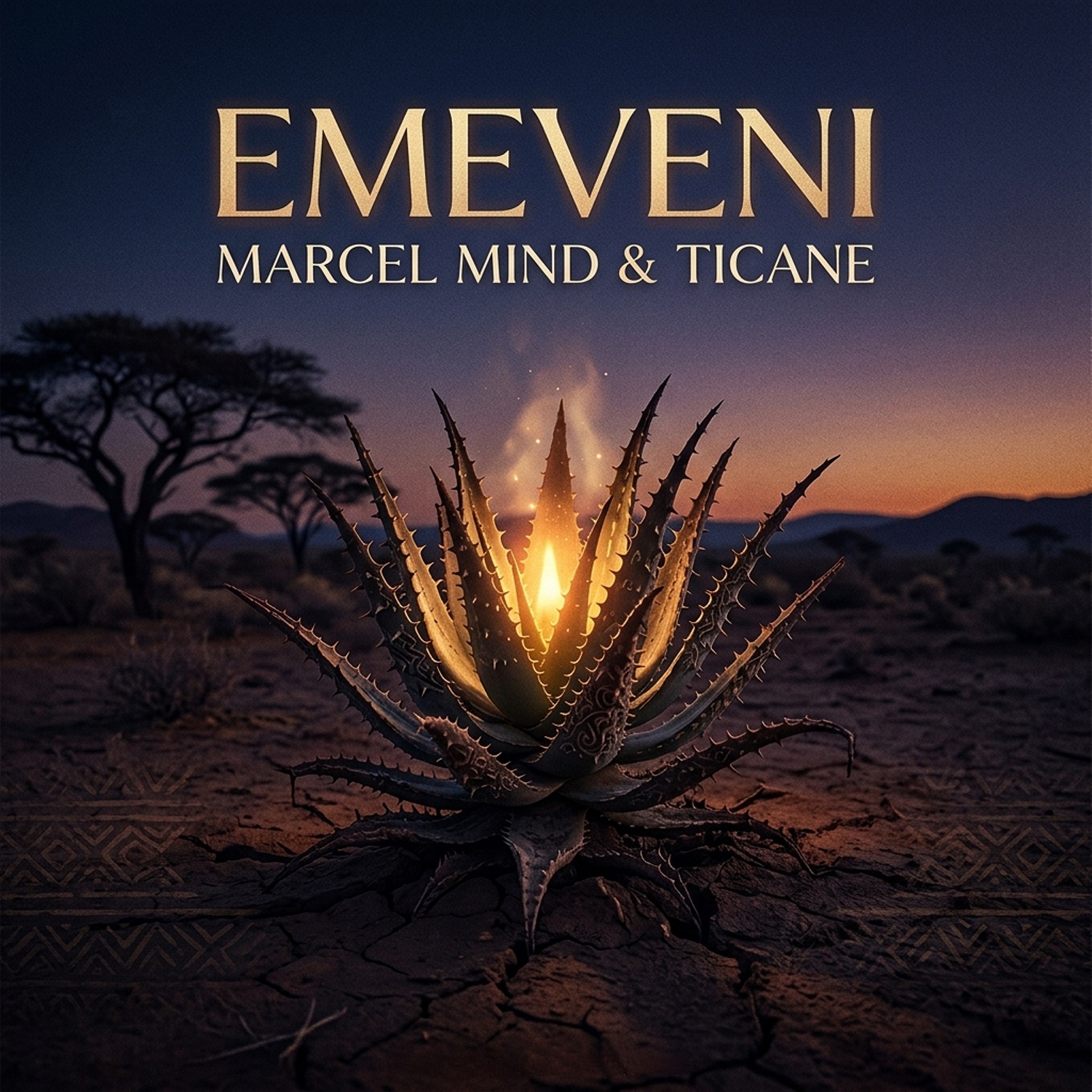 Cover: Emeveni